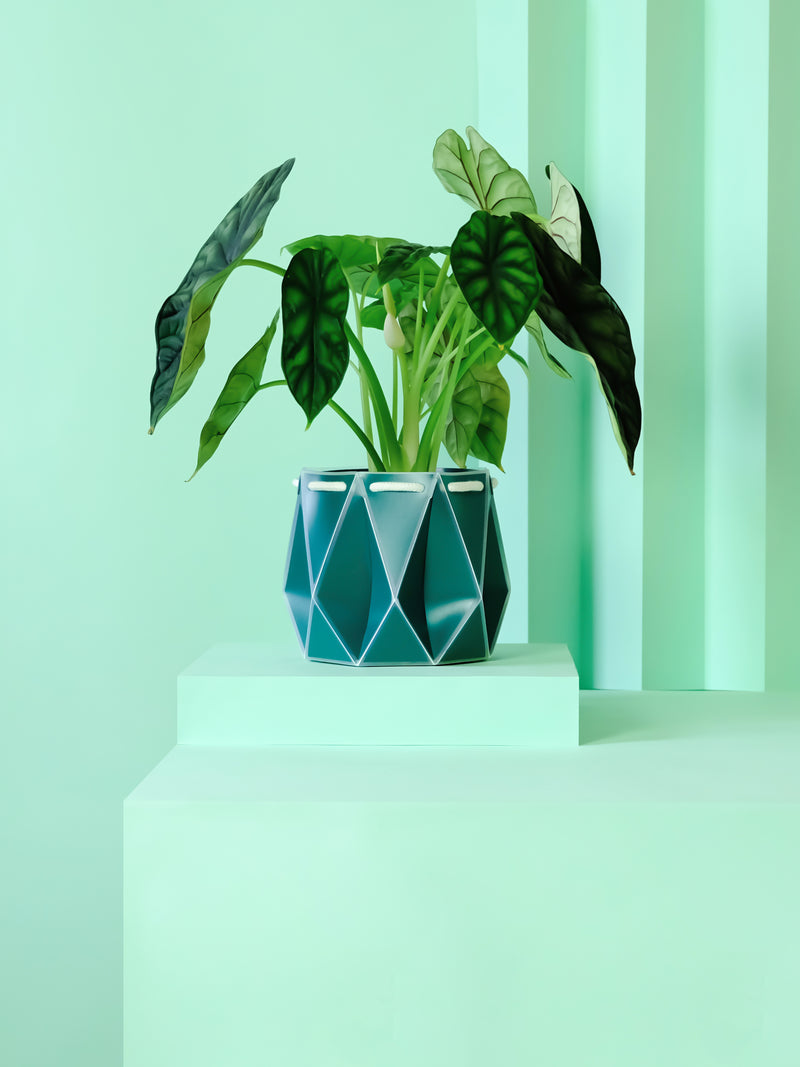 POTR Aqua Self-Watering Pot Pots & Planters POTR
