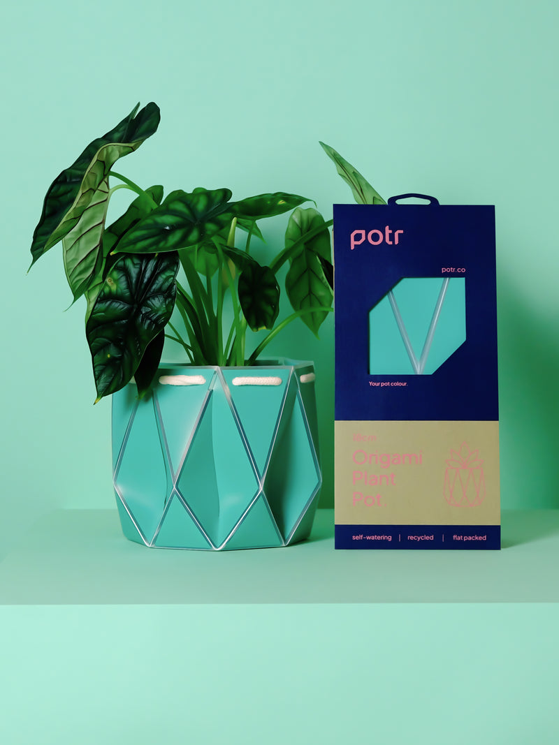 POTR Aqua Self-Watering Pot Pots & Planters POTR