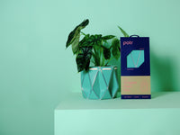 POTR Aqua Self-Watering Pot