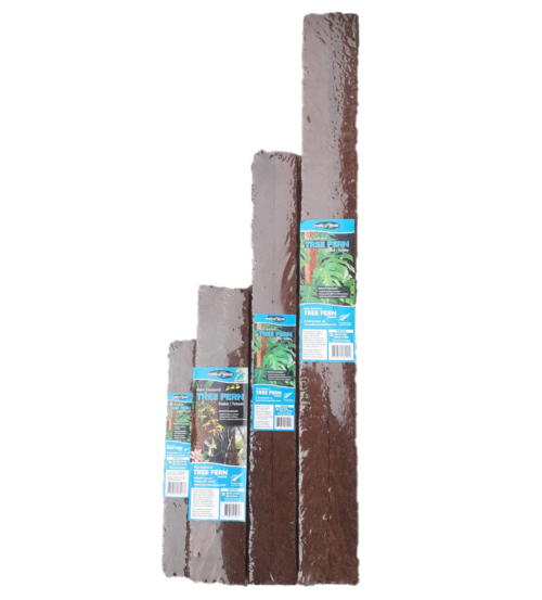 Sustainable Tree Fern Fibre Totems