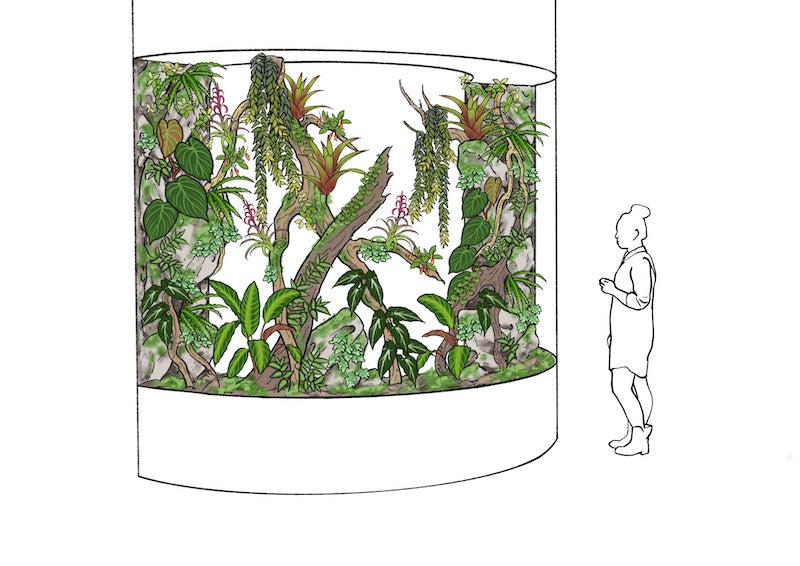 Fidelis Terrarium Concept.jpeg__PID:11b4b2ff-e32e-44ad-ba41-3d6e49df17f0