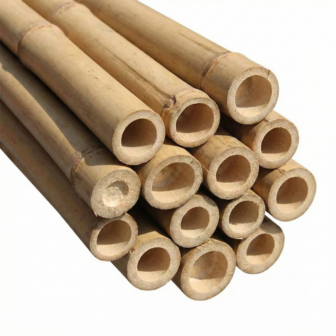 Extra Strong Bamboo Canes - 91cm/3ft Plant Support Growers Own