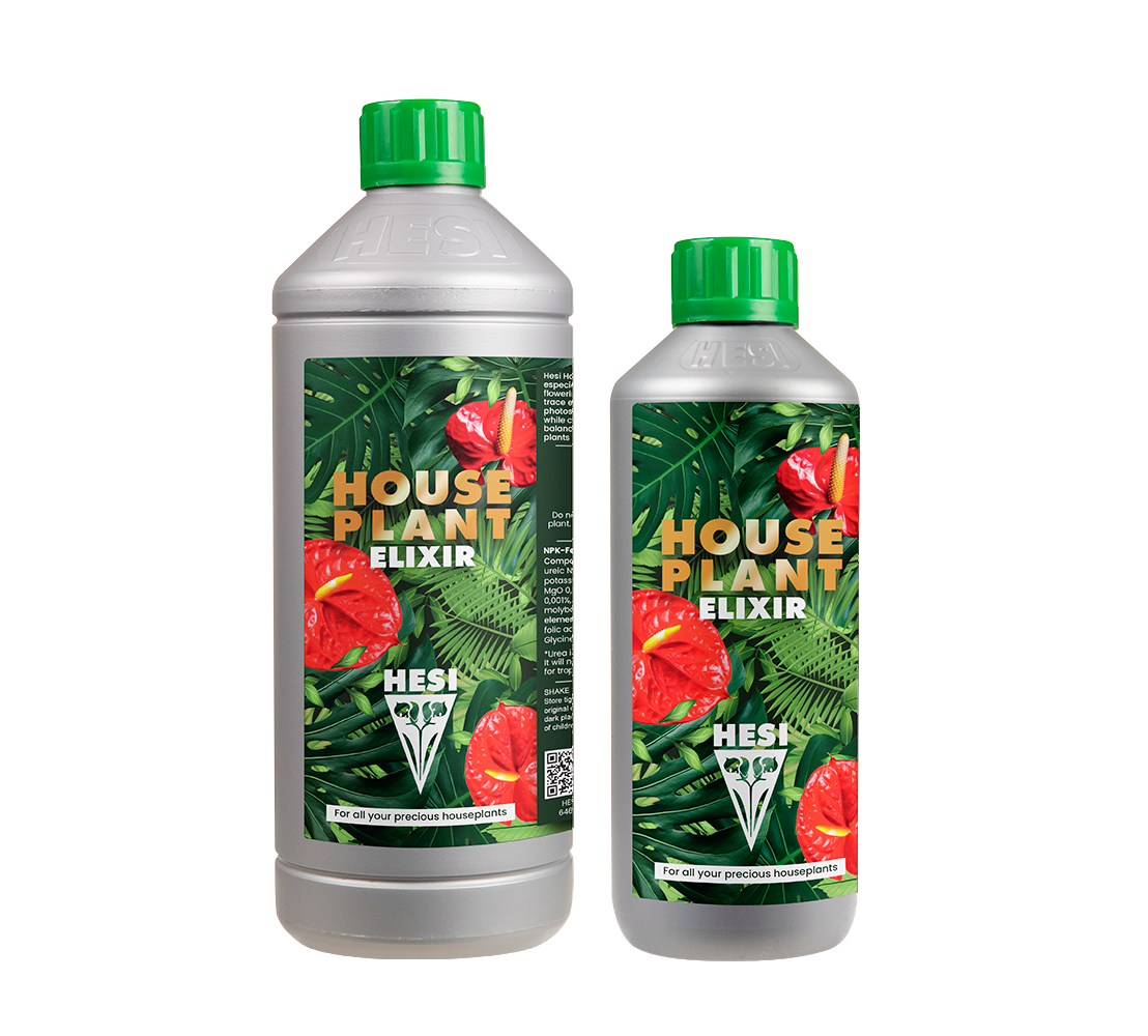 house plant elixir Hesi Houseplant Elixir