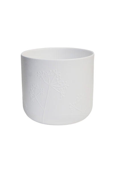 Cow Parsley Pot White 13cm / White