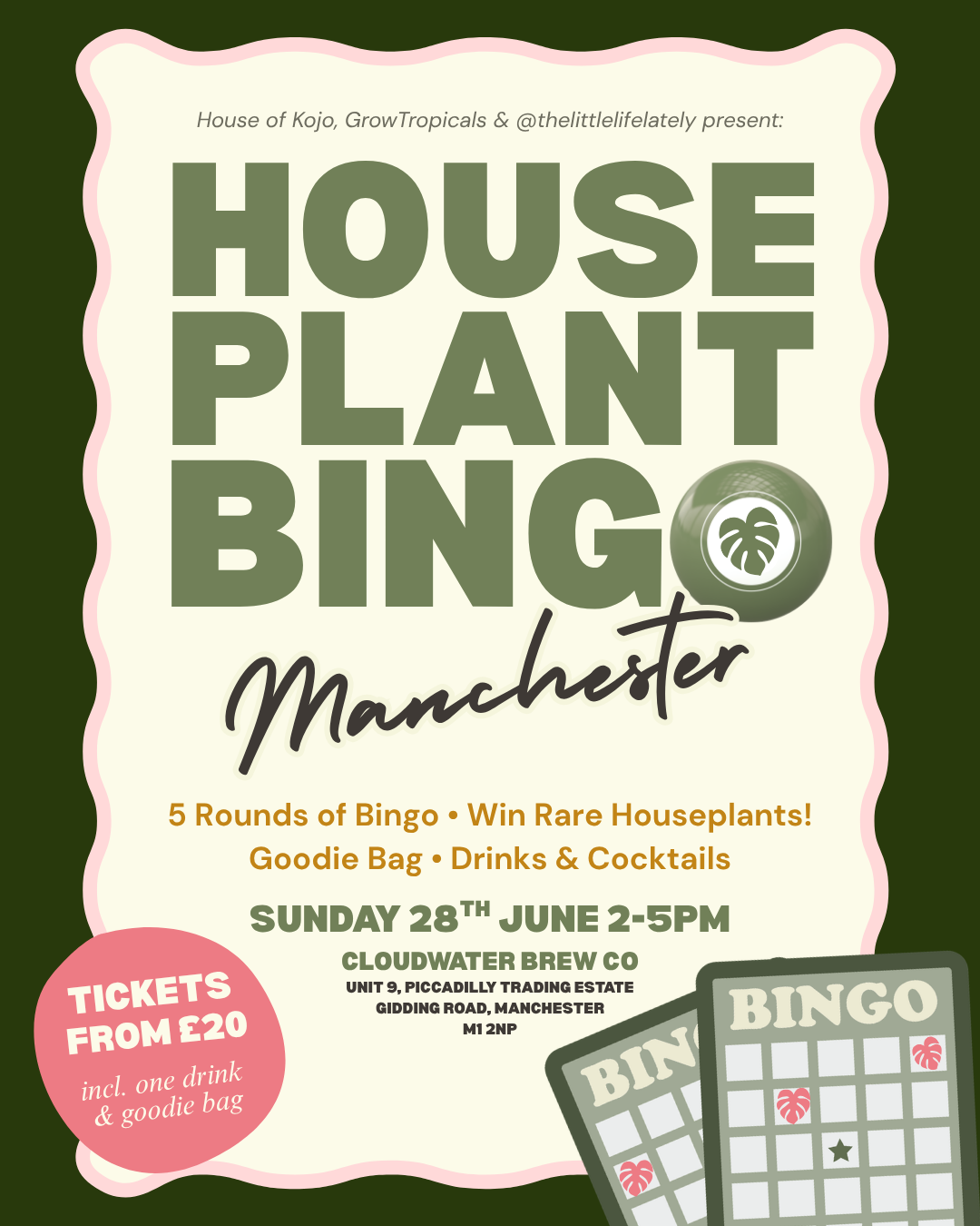 Houseplant Bingo Manchester Plants GrowTropicals