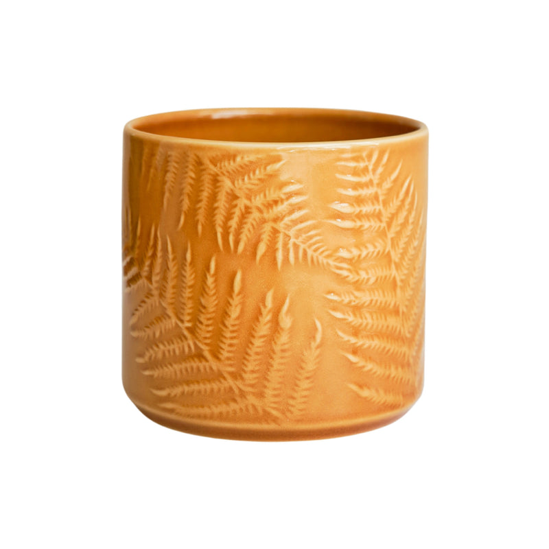 Orla Fern Pot Mustard Pots & Planters Ivyline