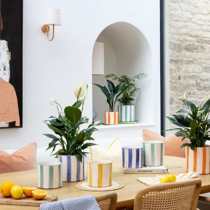 Paros Yellow Stripe Pot Pots & Planters Ivyline