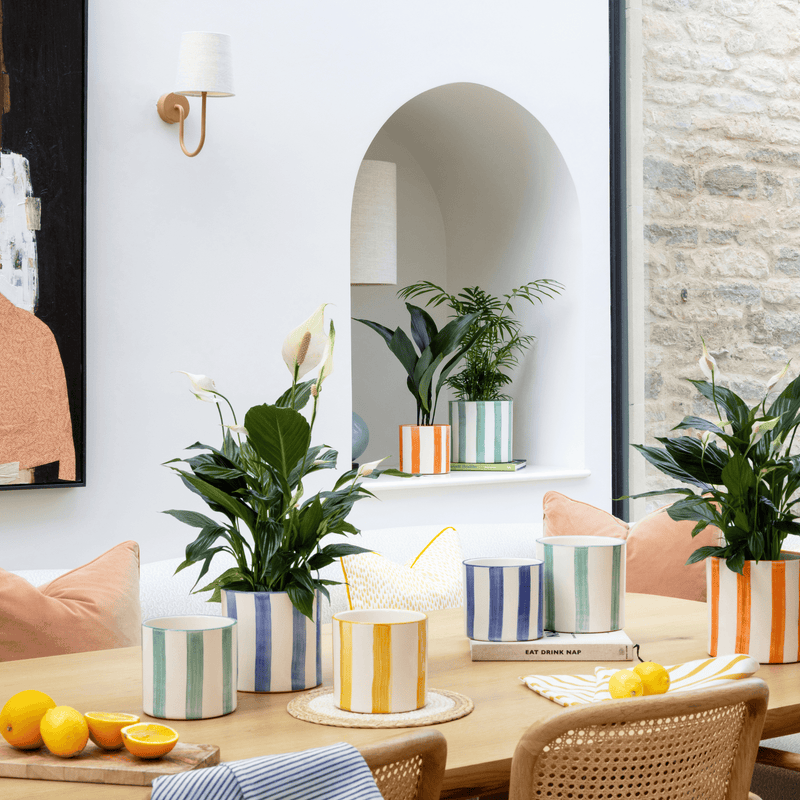 Paros Yellow Stripe Pot — 14cm / Yellow