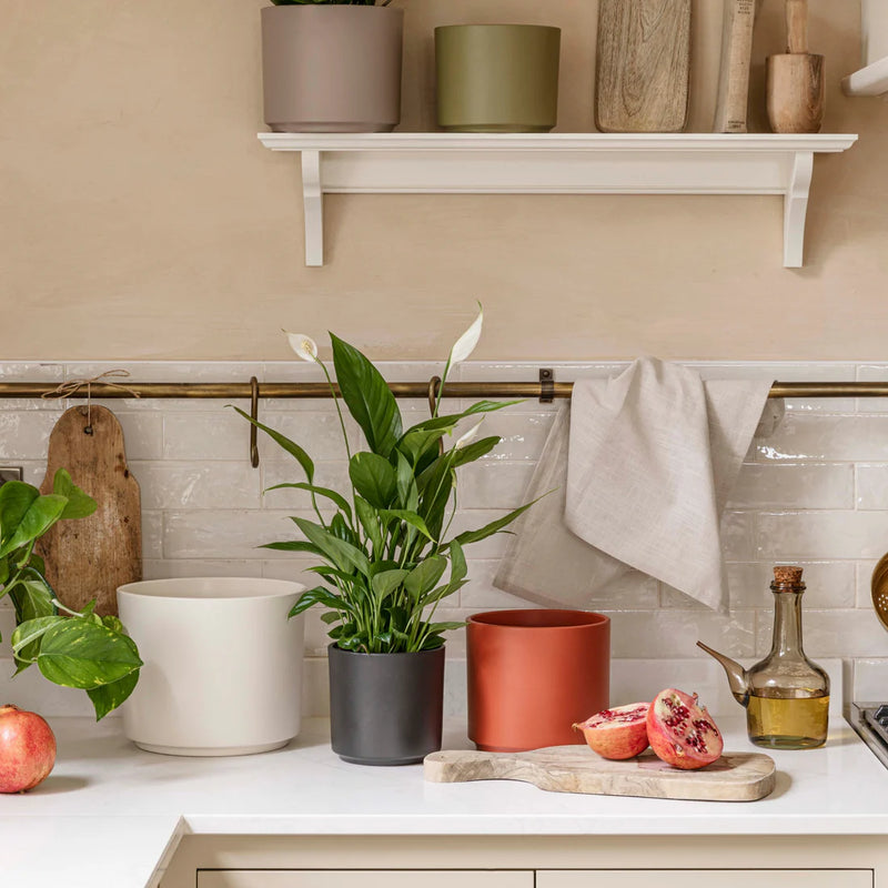 Prague Cream Plant Pot — 13cm / Cotton