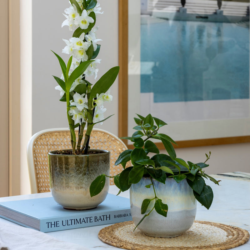 Rowe Two Tone Olive Reactive Planter Pots & Planters Ivyline