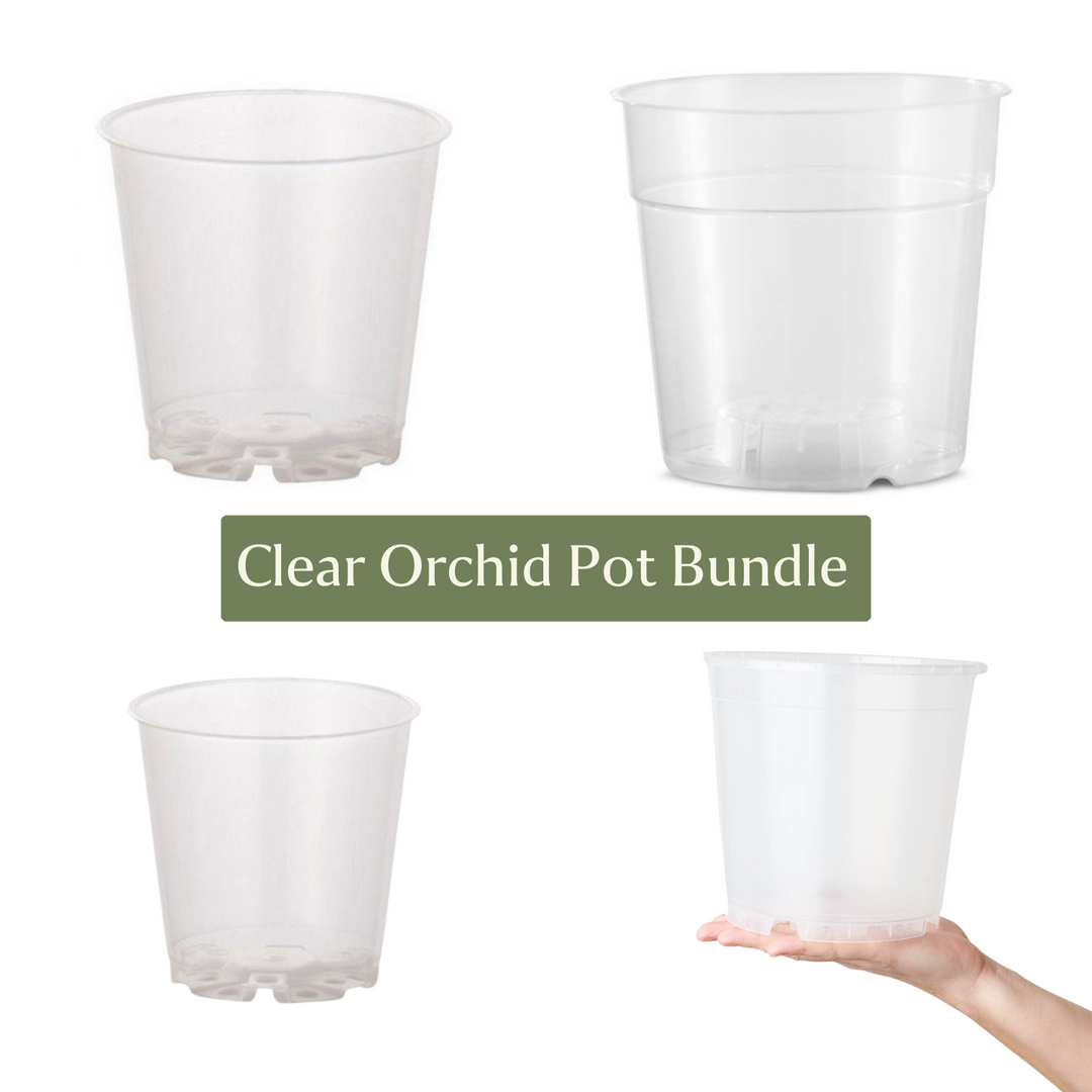 transparent orchid plant pots Clear Orchid Pot Bundle (Mixed Sizes)