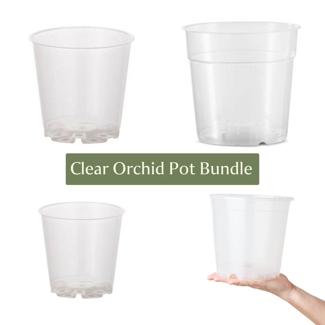 Clear Orchid Pot Bundle (Mixed Sizes) - GROW TROPICALS