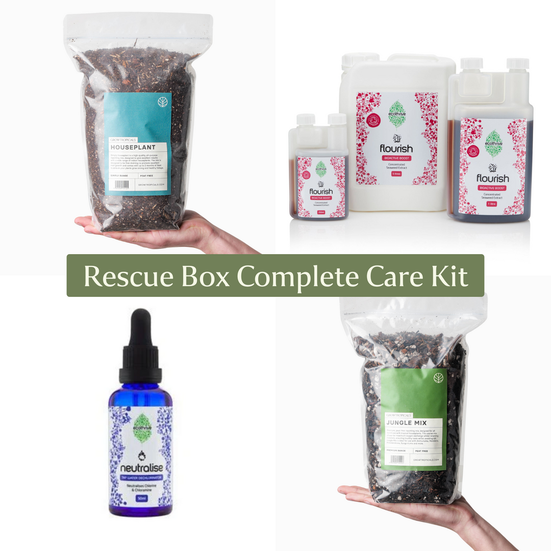 Rescue Box Complete Care Kit - GROW TROPICALS