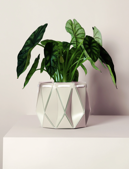 POTR Ivory Self-Watering Pot Pots & Planters POTR
