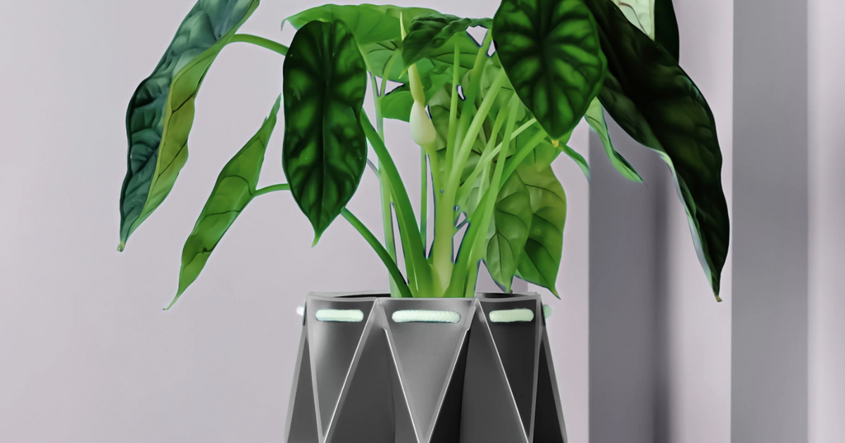self watering mod planter slate POTR Slate Grey Self-Watering Pot | Pots & Planters