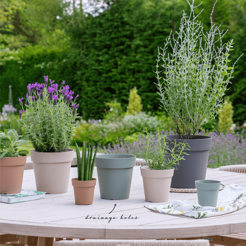 Mondo Sage Pot Pots & Planters Ivyline