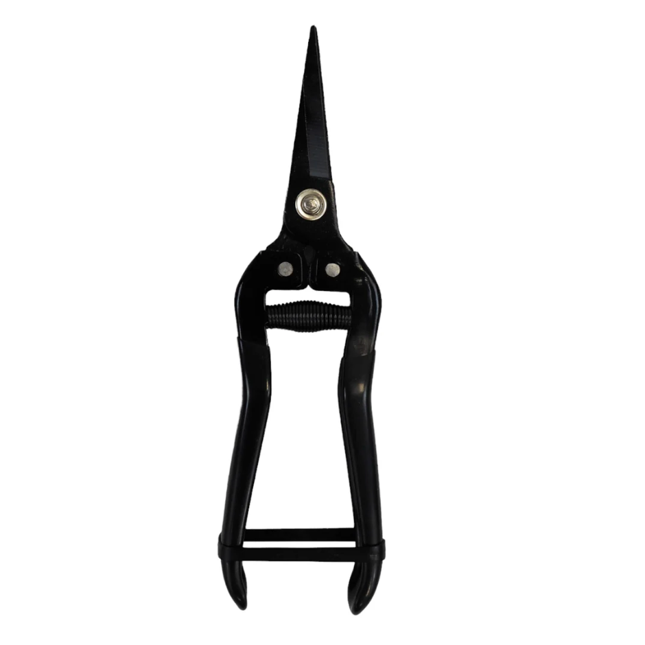 Pruning Snips Tools Growers Own