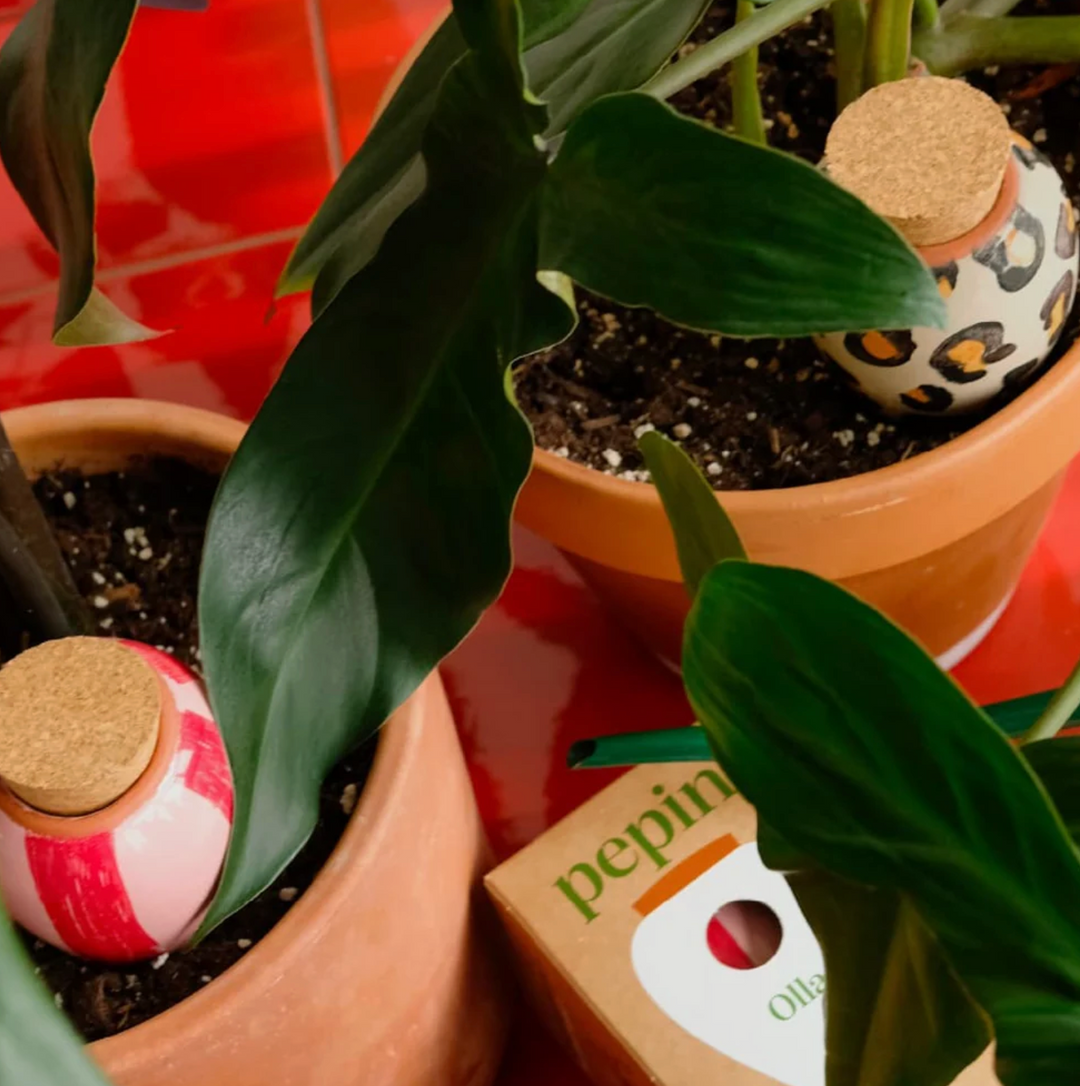 olla for potted plants Pepin Self Watering Olla Terracotta | Gardening Tools