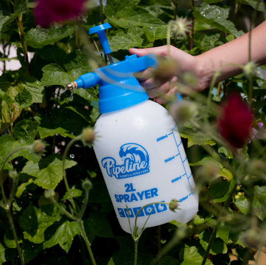 2L Pump Pressure Sprayer 2L Gardening Tools GrowTropicals