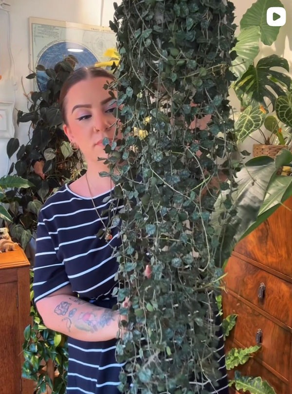 Bryony's Recent Posts