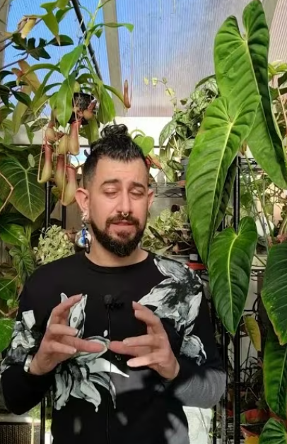 Houseplanty Goodness Care Guides