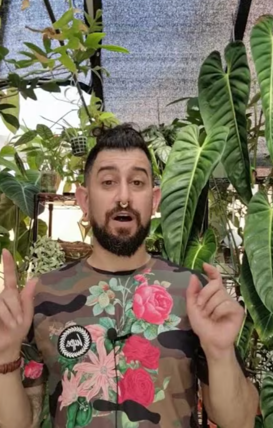 Houseplanty Goodness Care Guides