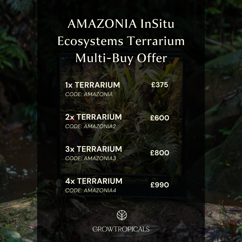 AMAZONIA - InSitu Ecosystems Terrarium - GROW TROPICALS