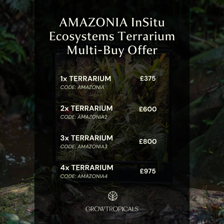 AMAZONIA - InSitu Ecosystems Terrarium