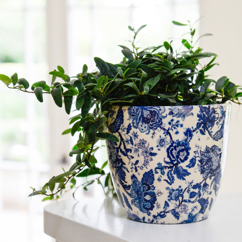 Monza Vintage Blue Pot Pots & Planters Ivyline