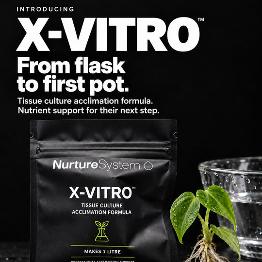 NurtureSystem X-Vitro Tissue Culture Acclimation Formula Plant Food and Nutrients NurtureSystem