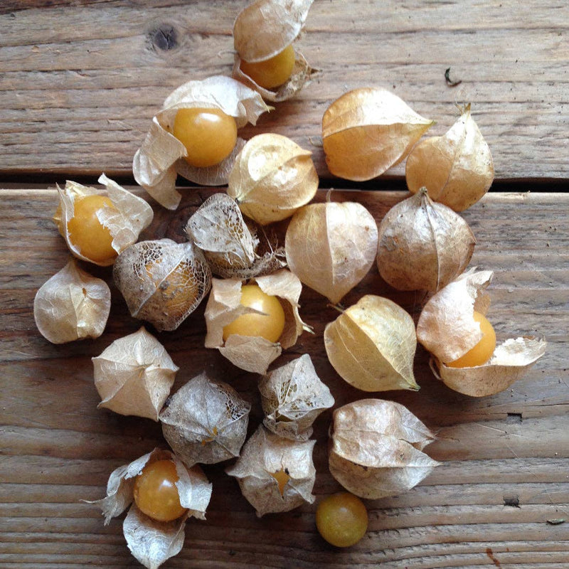 Cape Gooseberry (Golden Berry) Seeds — Default Title