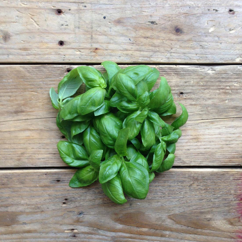 Basil 'Genovese' Seeds — Default Title