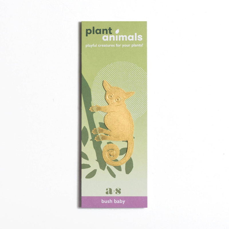 Plant Animal - Bush Baby — Default Title