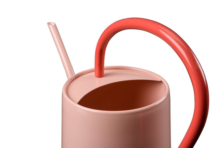 Blush Pink Scalloped Indoor Watering Can Watering Burgon and Ball