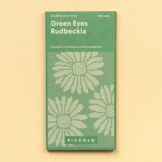 Rudbeckia 'Green Eyes' Seeds Seeds Piccolo Seeds