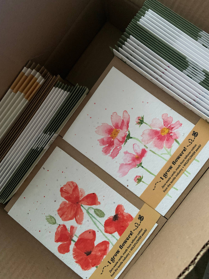 Cosmos | Wildflower Seed Plantable Card