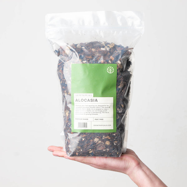 Alocasia Premium Potting Mix Potting Soil & Substrates GrowTropicals