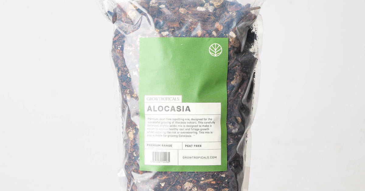 alocasia potting mix Alocasia Premium Potting Mix | Potting Soil & Substrates