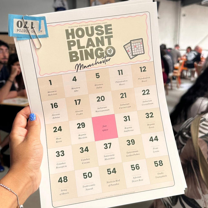 Manchester Houseplant Festival Plants GrowTropicals
