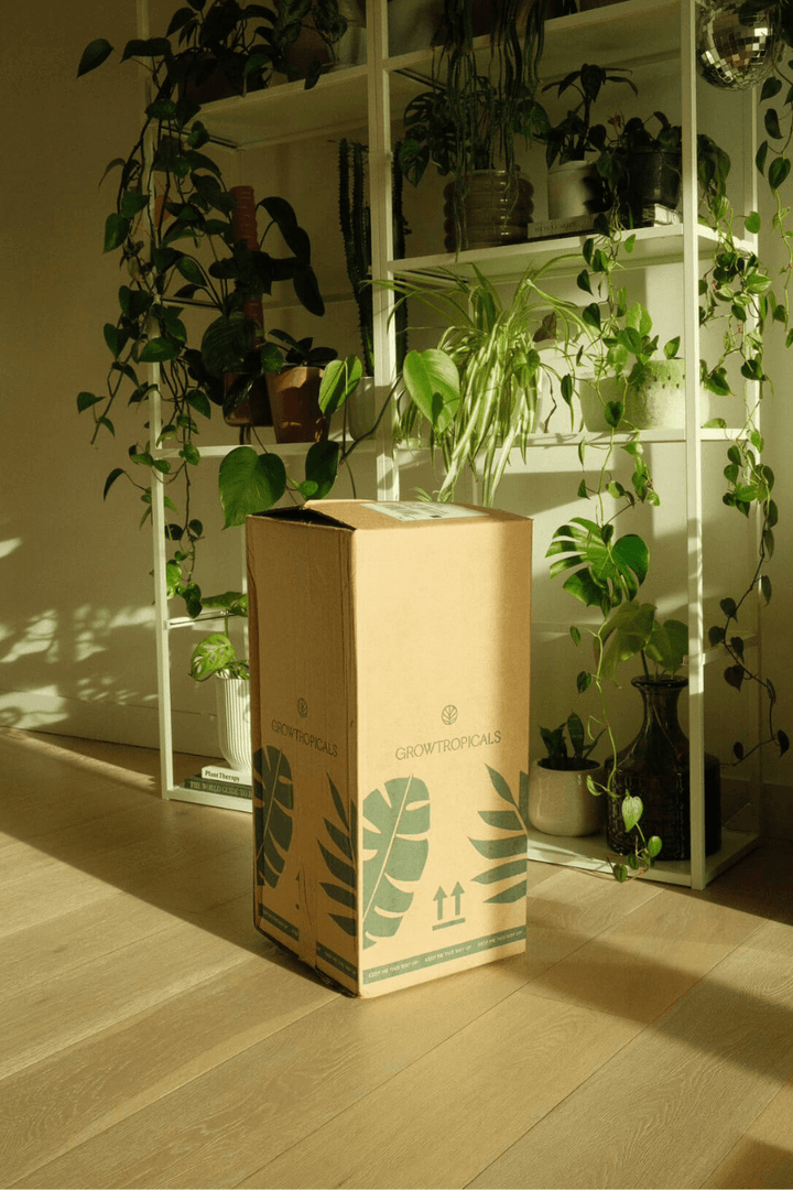Packaged with care