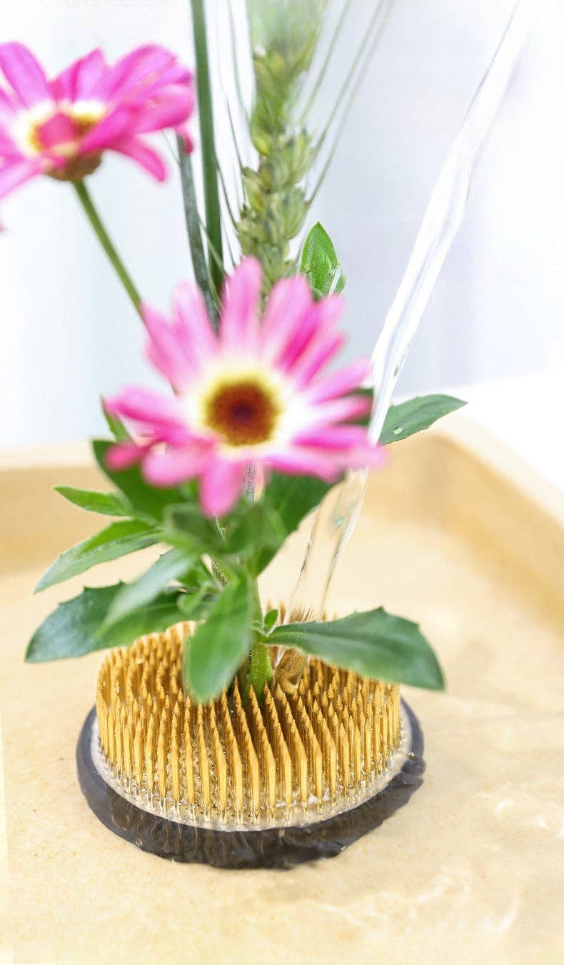 Gohobi Ikebana Kenzan Stainless Steel Flower Stand Flower Holder: 5 cm Gohobi （We cover import duties）