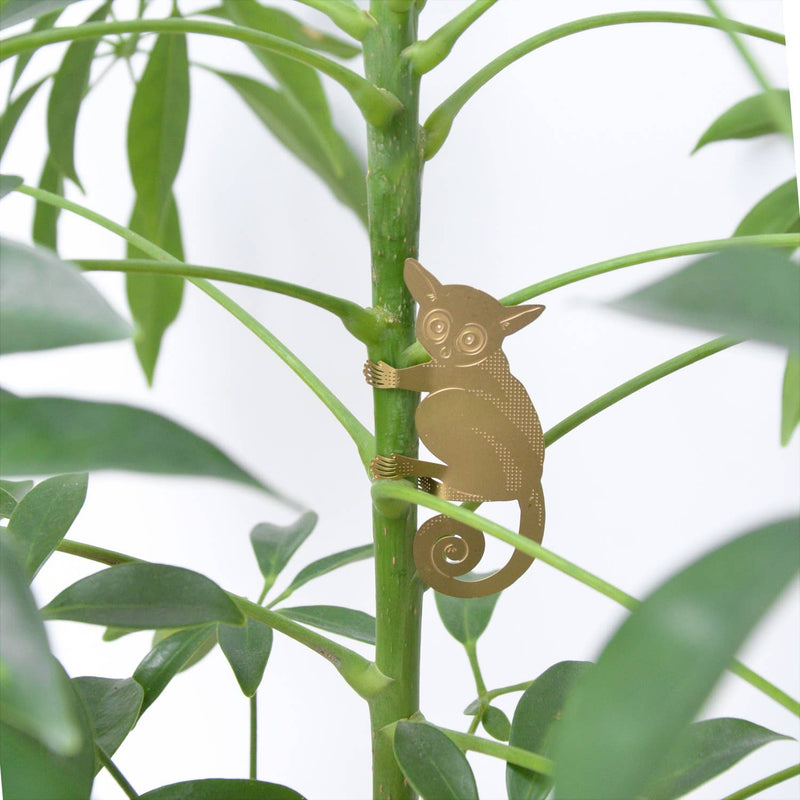 Plant Animal - Bush Baby Gifts Another Studio UK