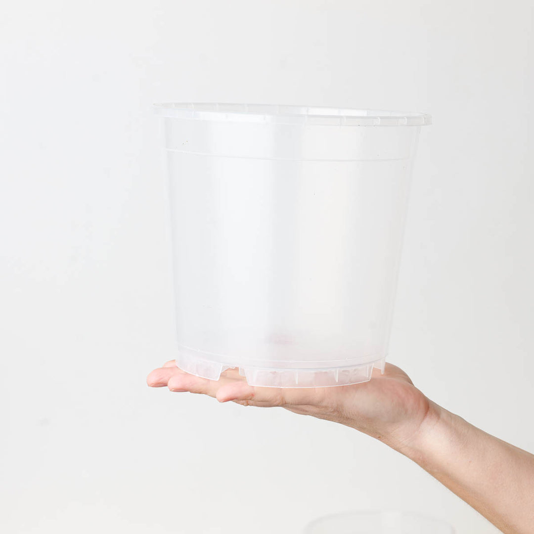 transparent orchid plant pots Clear Orchid Pots 19cm | Transparent Nursery Pot | Pots & Planters