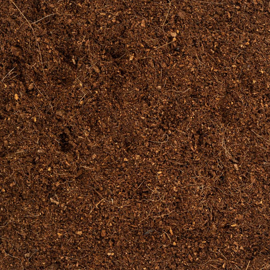 Coco Coir Fibre Potting Soil & Substrates GrowTropicals