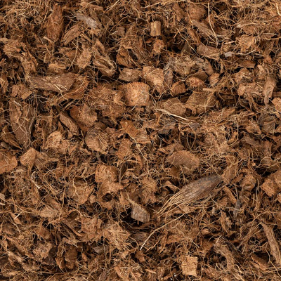 Coco Chips/Husk Potting Soil & Substrates GrowTropicals