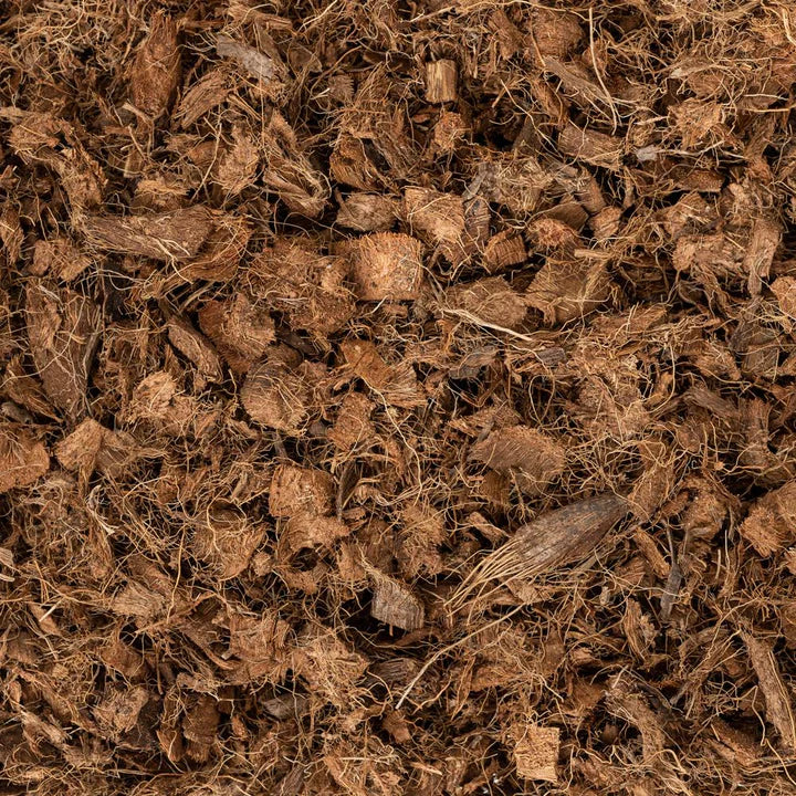 Premium DIY Soil Mix Bundle — 2.5L Bundle (10L)