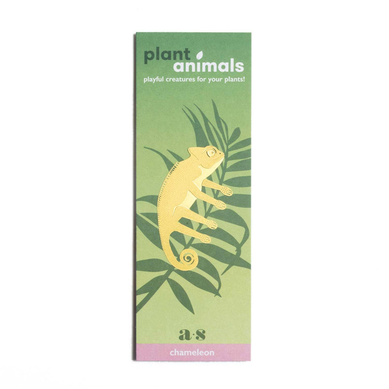 Plant Animal - Chameleon Gifts Another Studio UK