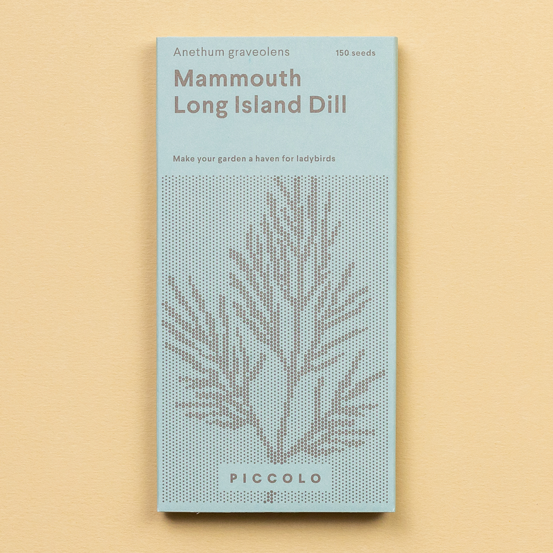 Dill 'Mammoth Long Island' Seeds Seeds Piccolo Seeds
