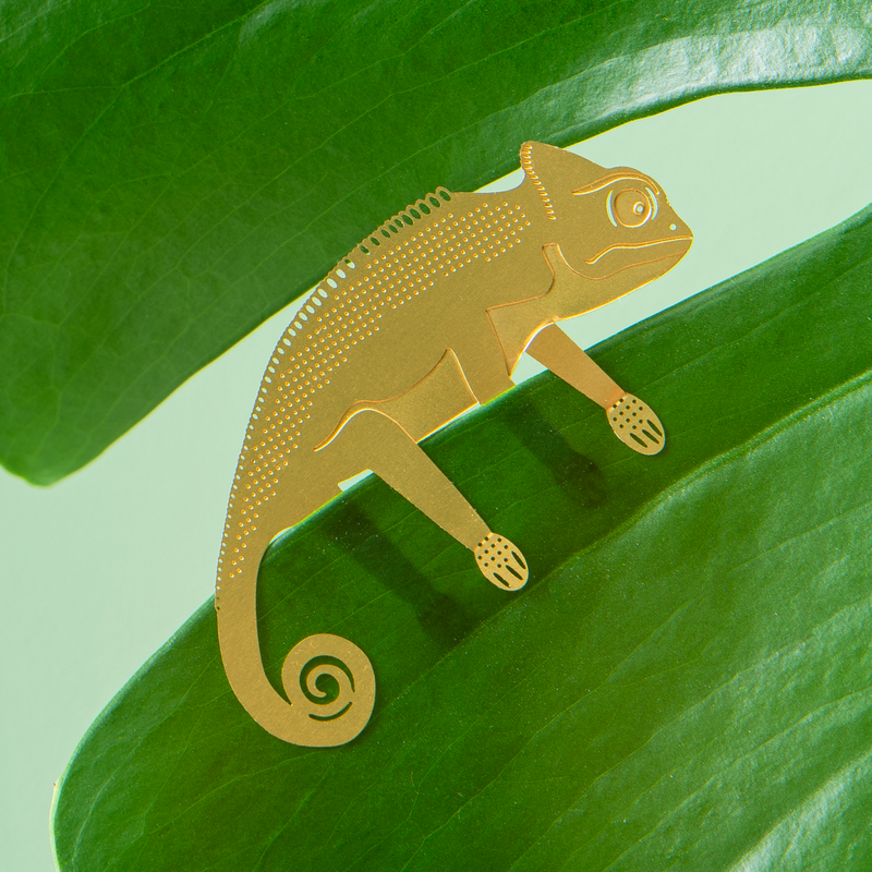 Plant Animal - Chameleon Gifts Another Studio UK