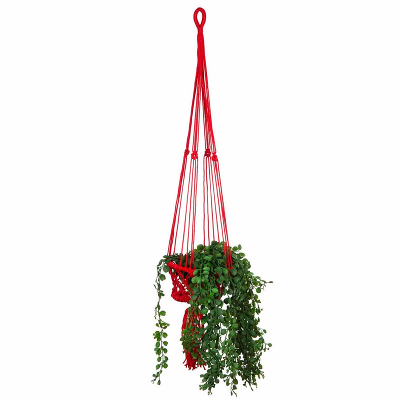Bright Macrame Plant Hanger: Blue Plant Hangers Siesta